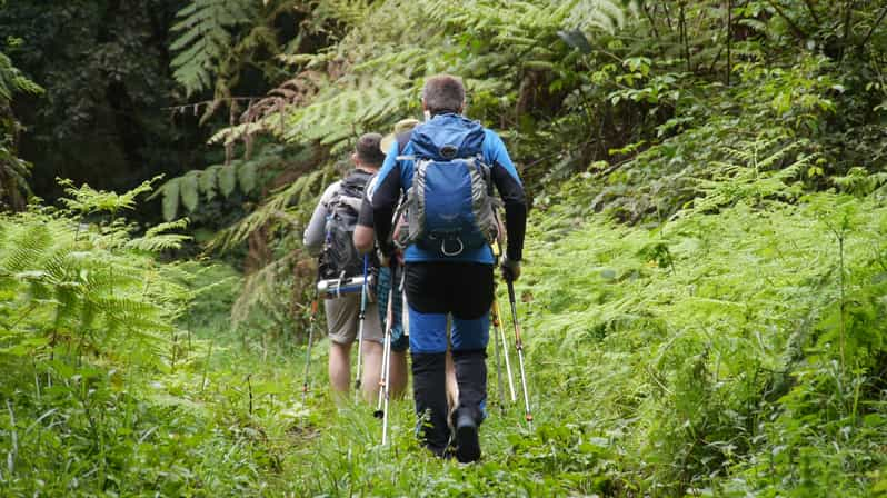 Excursión de un día desde Moshi a Mandara Hut Parque Nacional del Kilimanjaro