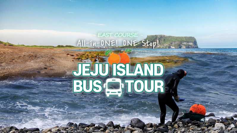 Isla de Jeju: Tour en autobús de un día por el este de Jeju con almuerzo local