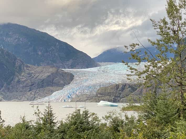 Juneau: Excursión al Glaciar Mendenhall y Avistamiento de Ballenas