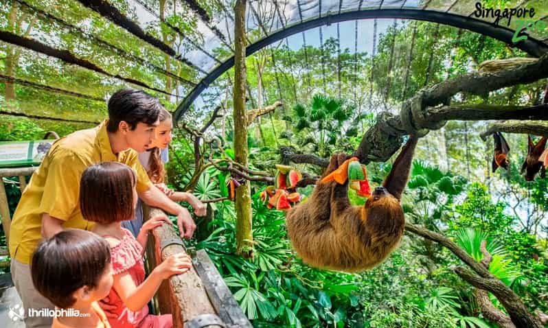 Excursión de un día por el Paraíso de las Aves y el Zoo de Singapur