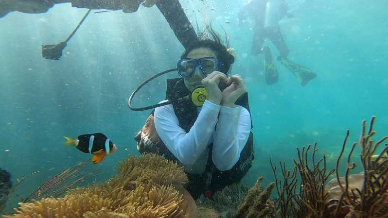 Nha Trang Snorkel en los Arrecifes de Coral y Fiesta en el Bar Flotante