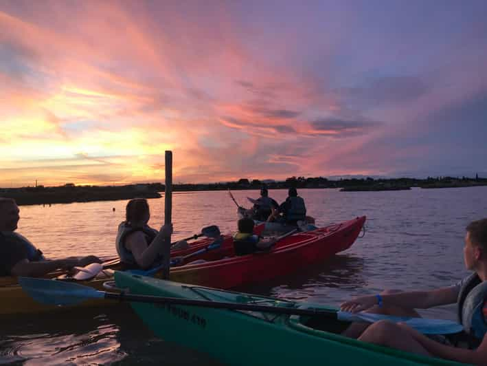 Montpellier : Eco-tour y observación de aves en kayak por la Camarga