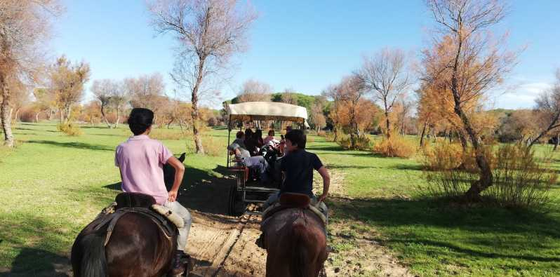 Ruta en coche de caballos por el Parque de Doñana y La Villa