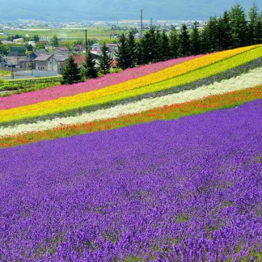 Hokkaido: Excursión de un día al Estanque Azul de Biei y a la Granja de Flores de Furano
