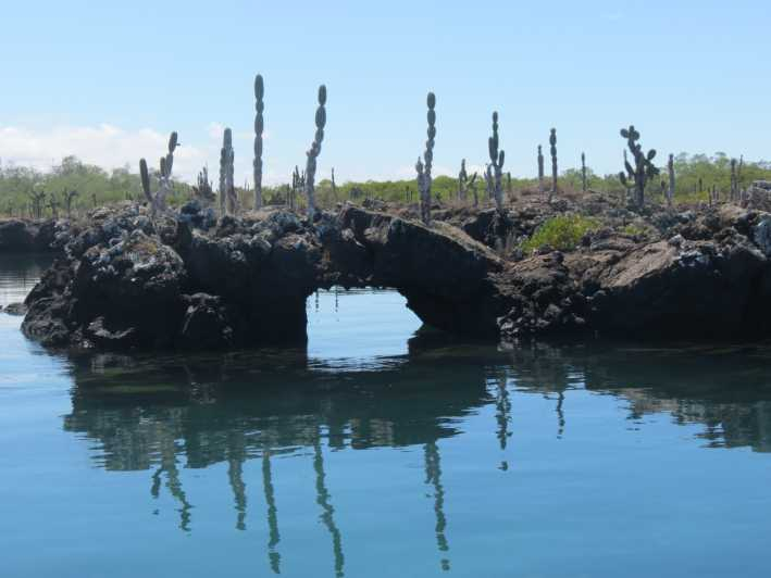 Excursión de 5 días a las Galápagos en Santa Cruz e Isabela: Snorkel-Senderismo