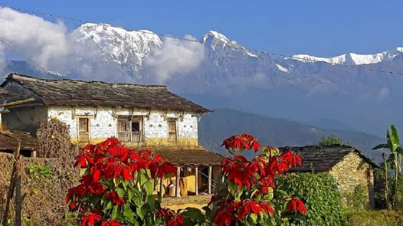 Pokhara: Excursión guiada de un día desde Dampus al Campo Base Australiano