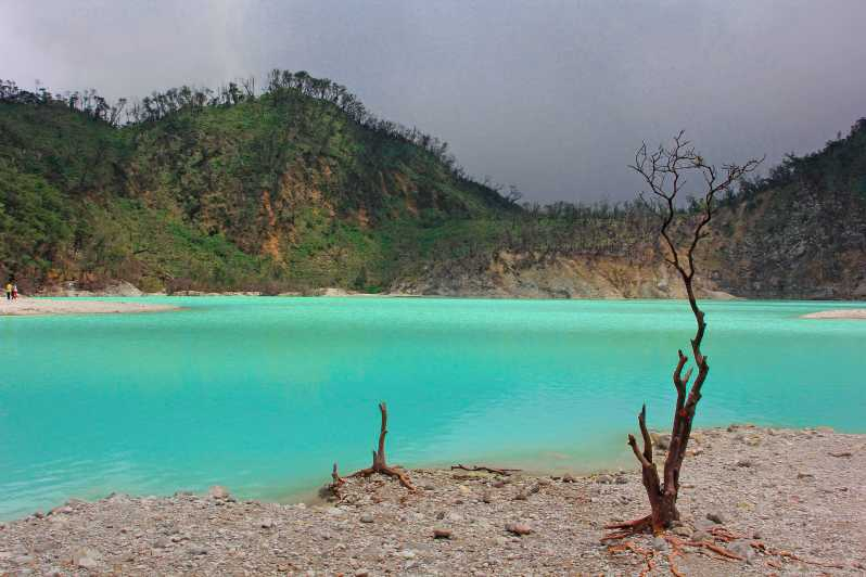 Bandung: Excursión de un día al Cráter Blanco y la Plantación de Té