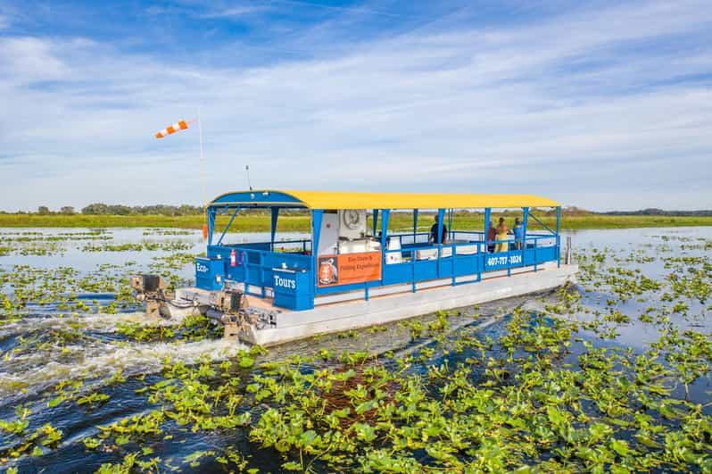 Crucero de 90 minutos por los Everglades