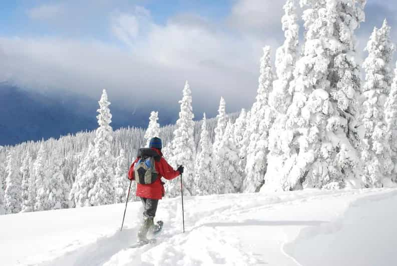 Lago Tahoe: Paquete de alquiler de raquetas de nieve - Vistas impresionantes