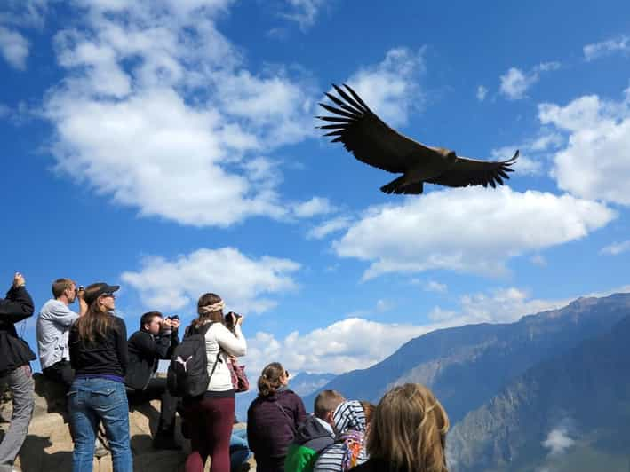 Excursión al Cañón del Colca con final en Puno