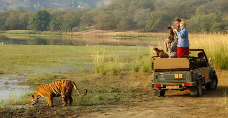 Reserva del Safari a Ranthambore