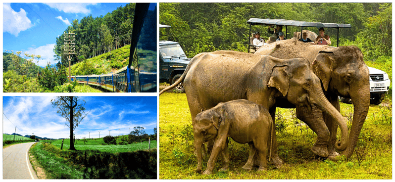 Sri Lanka en círculo completo por el camino trillado-4 días de viaje