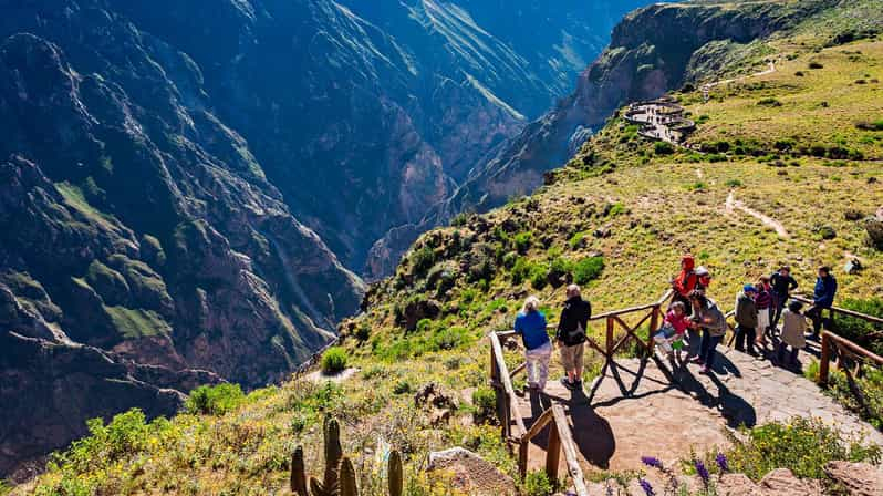 Tour Día Completo Cañón del Colca en Arequipa + Almuerzo Buffet