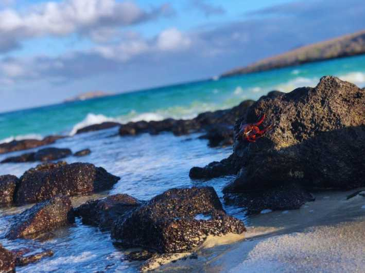 Sostenibilidad y conservación: Bahía Tortuga en Galápagos