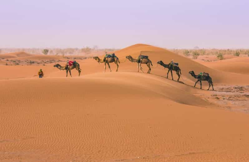 Desde Marrakech: Excursión de 3 días a Fez por el desierto