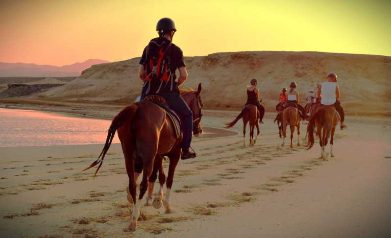 Hurghada: Puesta de Sol en el Mar, Caballo en el Desierto W Opt, Cena, Observación de las Estrellas