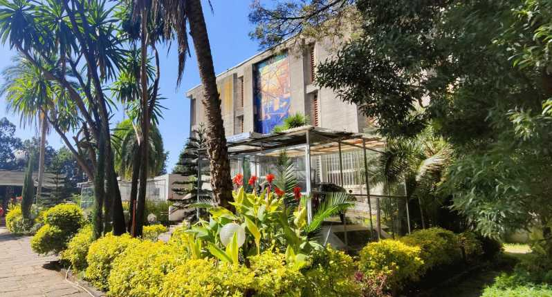 Visita a los museos de Addis Abeba
