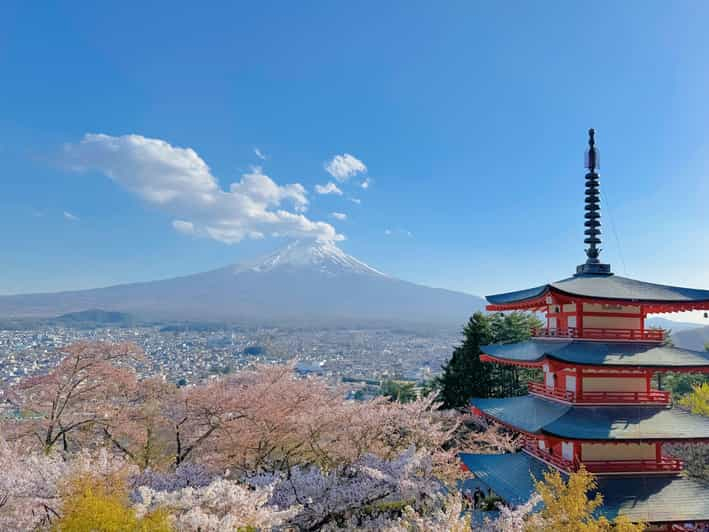 Desde Tokio: Excursión de un día a la 5ª Estación y Termas del Monte Fuji