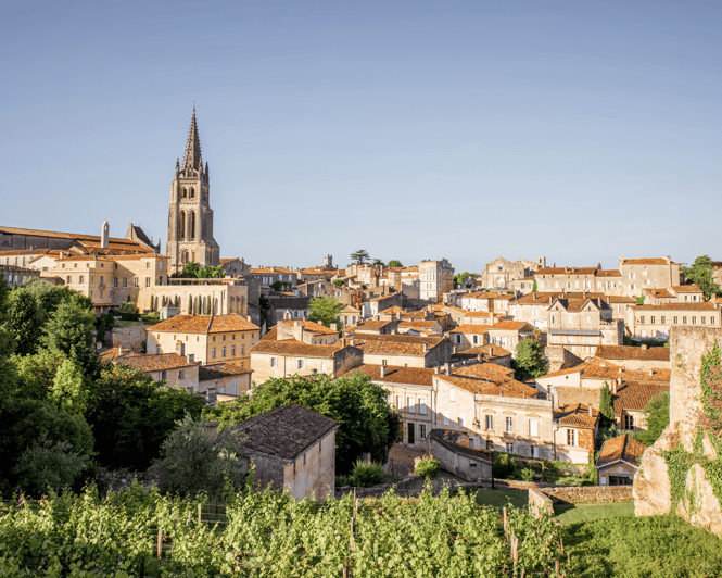 Desde Burdeos: Excursión de media jornada a Saint-Émilion con cata de vinos