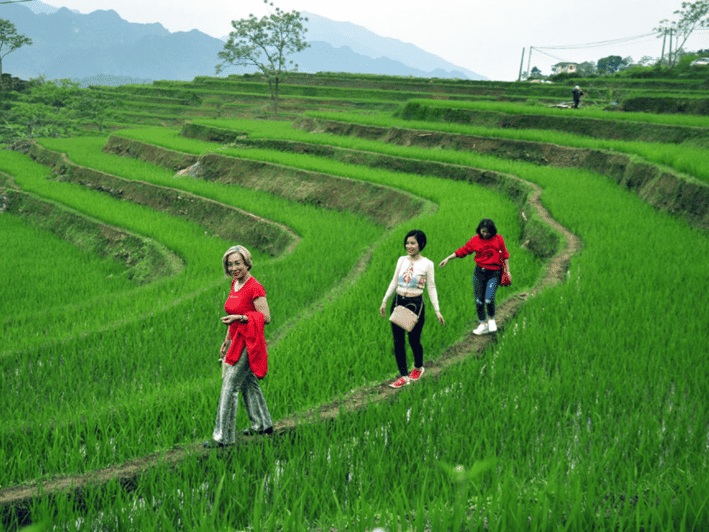 Desde Pu Luong:Una excursión única Offbeats Treks 2 Días 1Noche