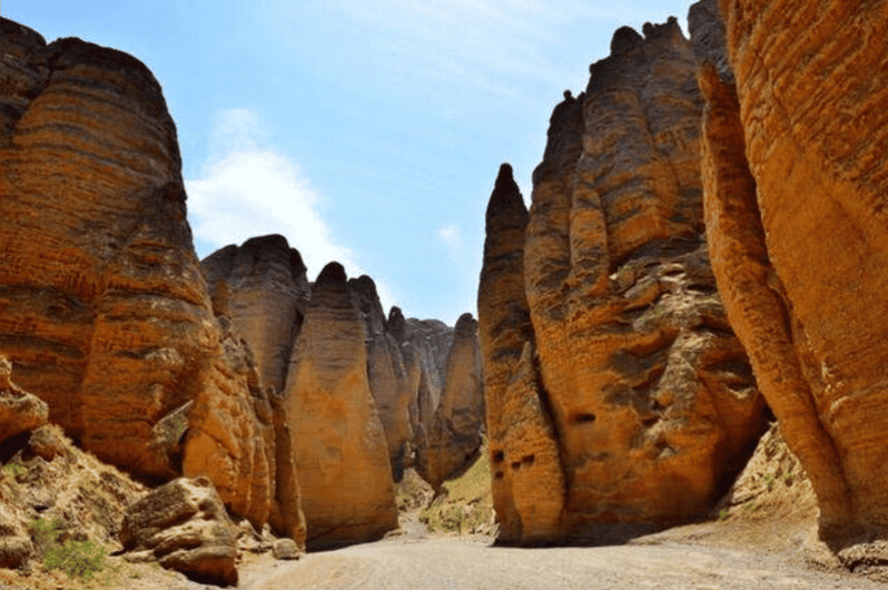 Tour privado de un día al bosque de piedra del río Amarillo desde Lanzhou