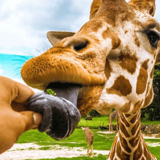 Desde Querétaro Bioparque Estrella