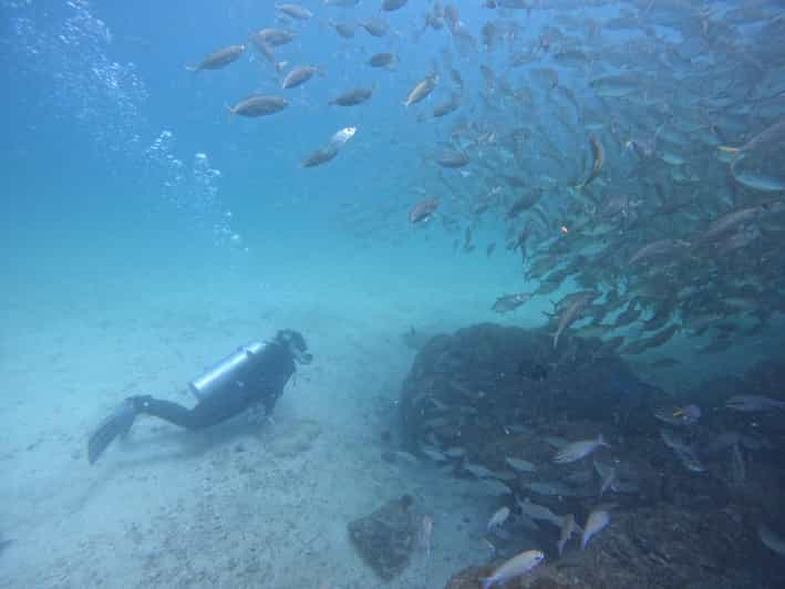 Excursión de buceo para buceadores certificados en Fujairah con almuerzo barbacoa