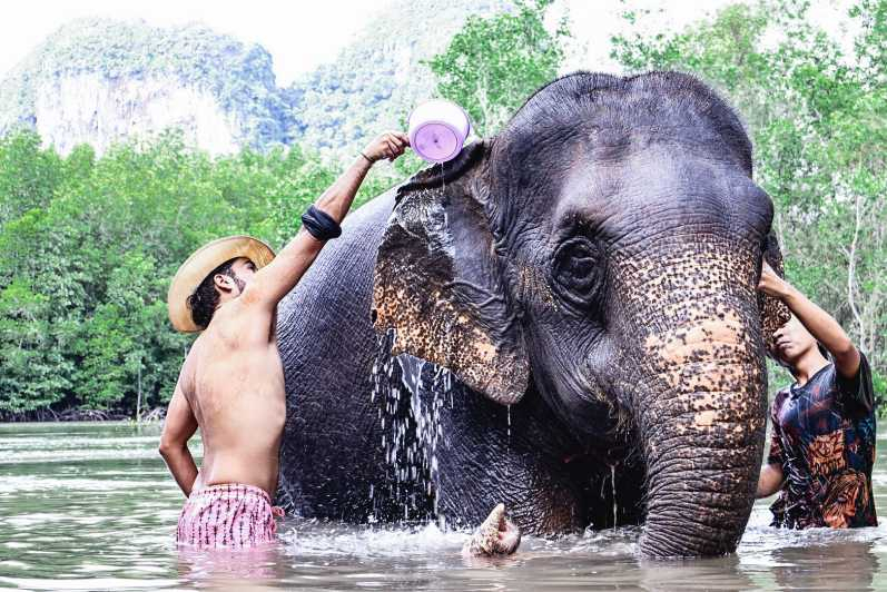 Krabi: Sesión de Baño con Elefantes en el Refugio de Elefantes de Krabi