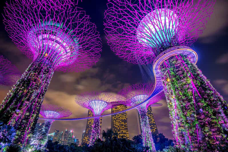 Singapur Marina Bay Sands & Gardens By The Bay & Traslado