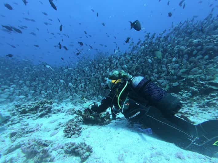 Buceo en Hikkaduwa