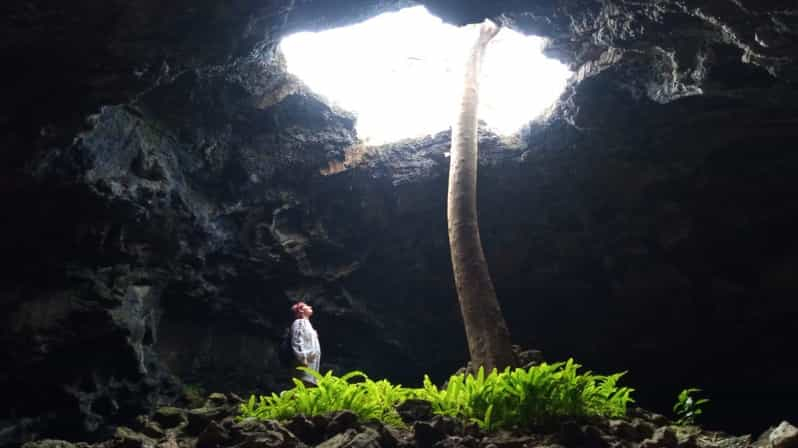 Tour privado: El Mundo Subterráneo de las Cuevas de Rapa Nui