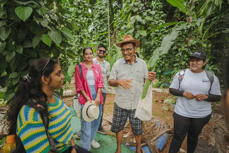 Cocina y come con una familia local en Goa