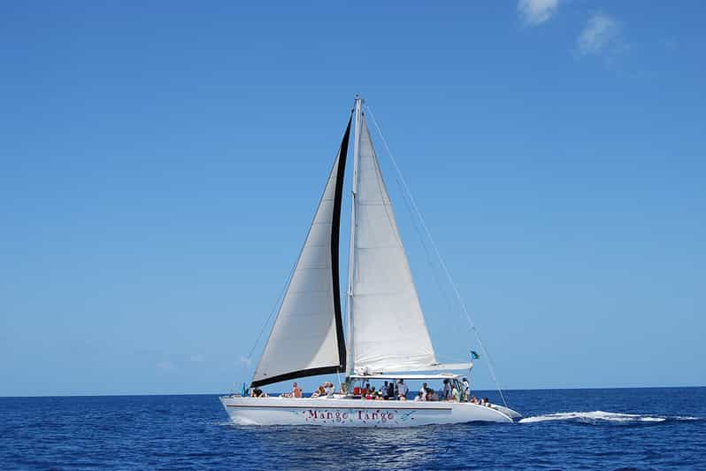 Desde Castries: Tour de día completo en catamarán a Soufriere