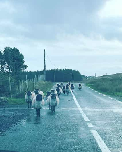 Giants causeway tours privados