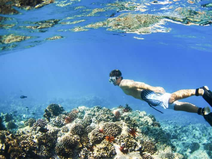 Bali: Snorkel en la Laguna Azul, con comida y transporte incluidos