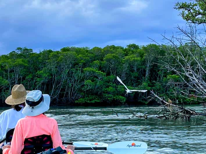 Fort Pierce: Barra de arena de 4 horas para observar manglares y delfines en FL