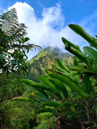 Dominica: ¡excursión a pie al lago hirviente!