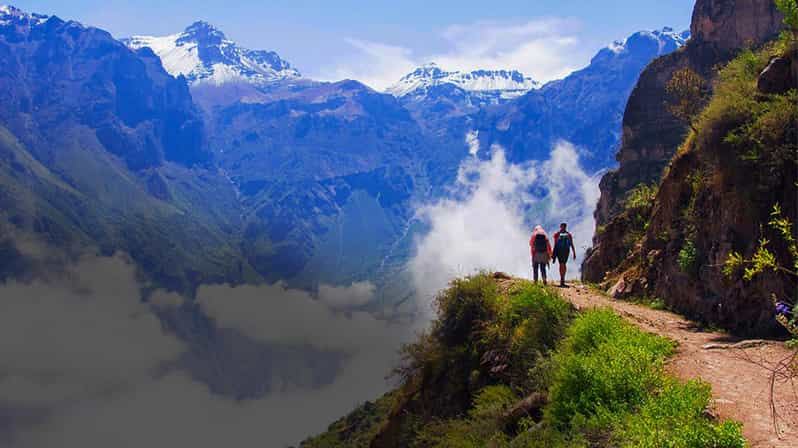 Excursión de un día al Cañón del Colca con traslado a puno