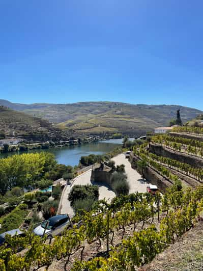 DOURO: TOUR FD VIÑEDO DOURO MERCEDES V EXT LONG