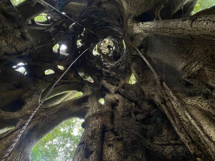 Descubre Monteverde - rincones ocultos de la zona