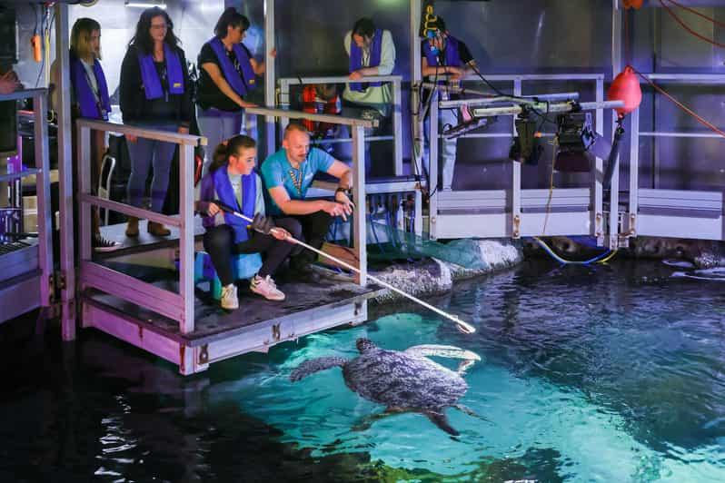 Timmendorfer Strand: Tour SEA LIFE entre bastidores