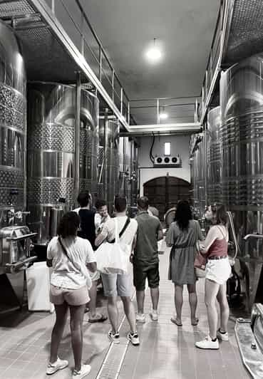 Cata de vinos en Patrimonio