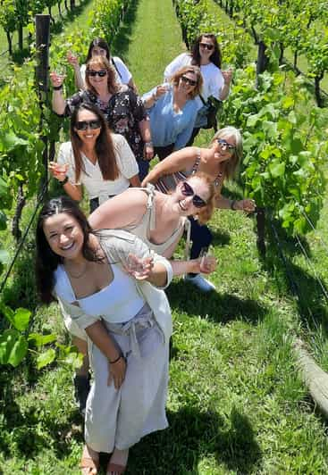 Visita a las bodegas de Martinborough