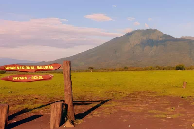 La Auténtica Puesta De Sol Del Parque Nacional Baluran Banyuwangi