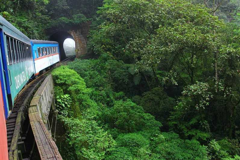 Rieles panorámicos: Aventura de Curitiba a Morretes en tren