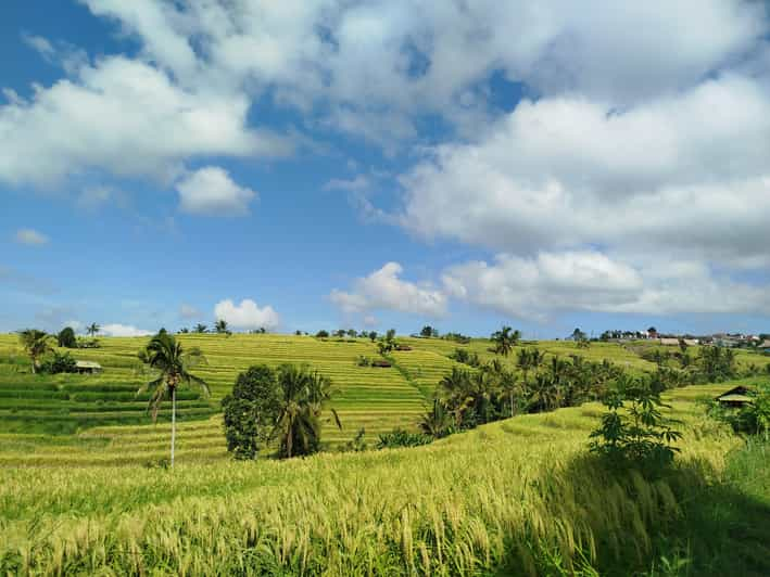 Bali: Excursión a las Terrazas de Arroz de Jatiluwih, la Cascada y Tanah Lot