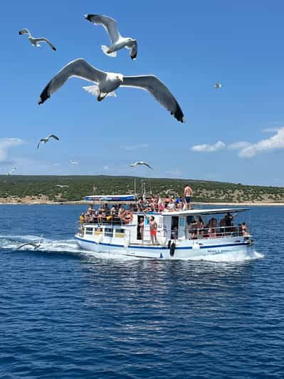 Krk, Rijeka: Playa Dorada y Cueva Azul 4 Islas swimmingtour