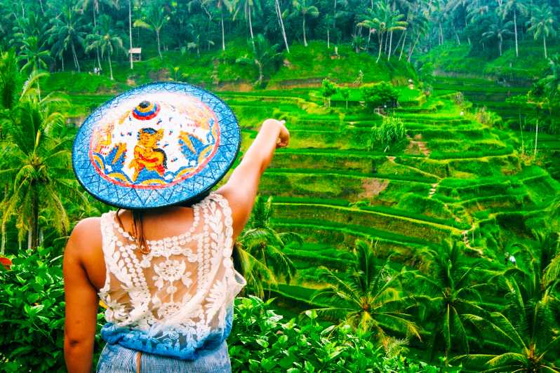 Ubud: tour privado cascada, arrozales y bosque de monos