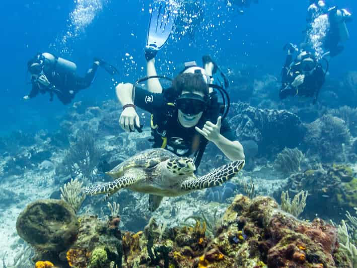 Inmersión con 2 tanques en el Parque Nacional Marino de Cozumel