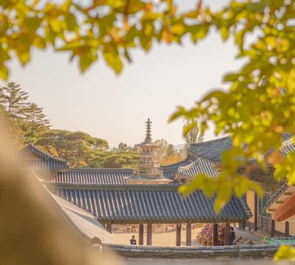 Gyeongju Tour Privado : Descubre la Belleza Eterna